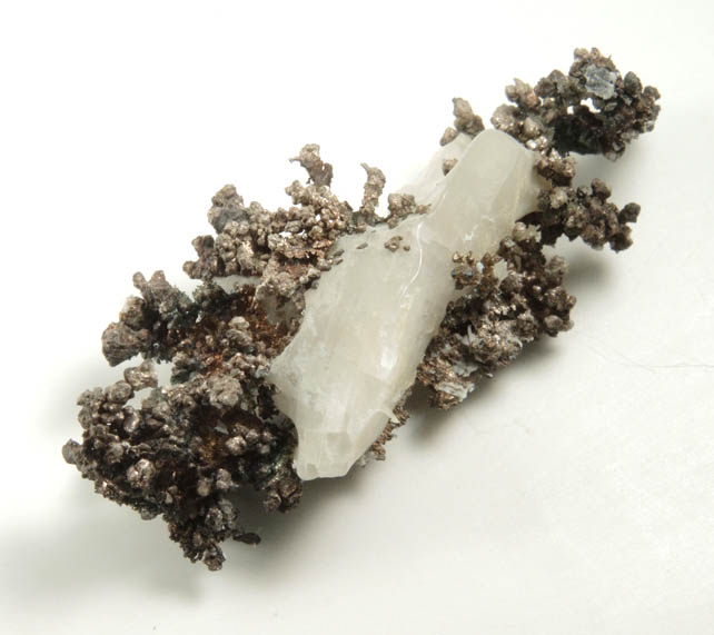 Silver in Calcite from Andres del Rio District, Batopilas, Chihuahua, Mexico