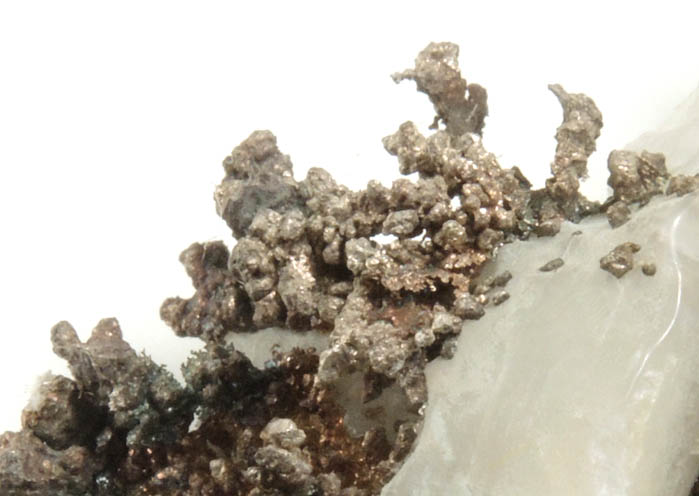 Silver in Calcite from Andres del Rio District, Batopilas, Chihuahua, Mexico