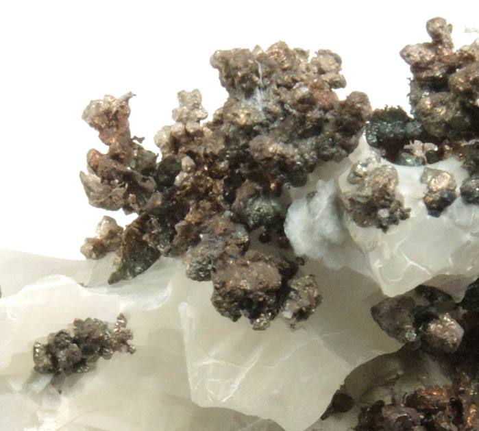 Silver in Calcite from Andres del Rio District, Batopilas, Chihuahua, Mexico