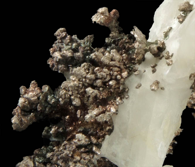 Silver in Calcite from Andres del Rio District, Batopilas, Chihuahua, Mexico