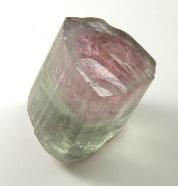 Elbaite var Watermelon Tourmaline from Himalaya Mine, Mesa Grande District, San Diego County, California