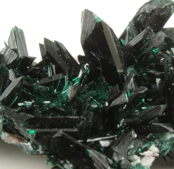 Brochantite from Milpillas Mine, Cuitaca, Sonora, Mexico