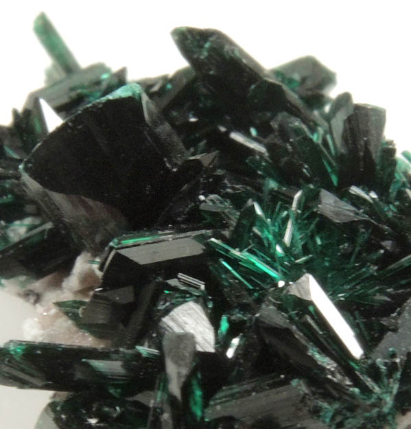 Brochantite from Milpillas Mine, Cuitaca, Sonora, Mexico