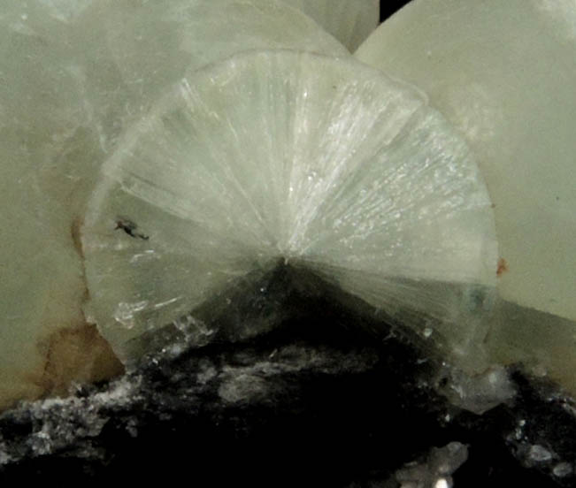 Wavellite from Laharran Quarry, Minane Bridge, County Cork, Ireland