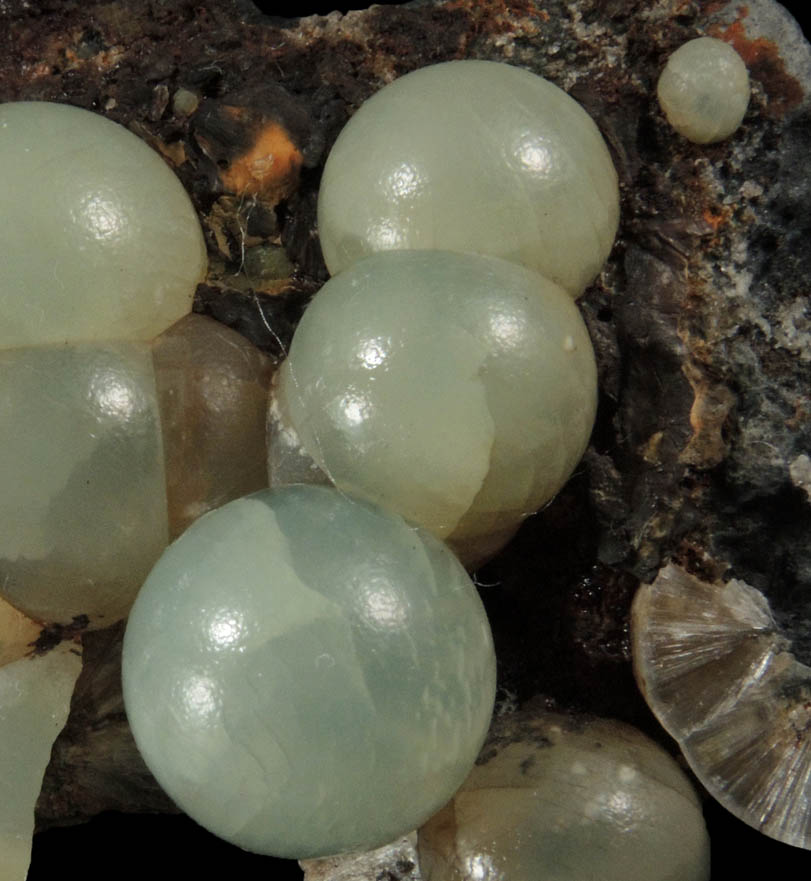 Wavellite from Laharran Quarry, Minane Bridge, County Cork, Ireland