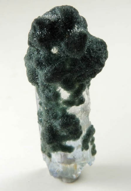 Foitite-Elbaite Tourmaline over Jeremejevite from Ameib Farm, Usakos, NE of Swakopmund, Erongo Region, Namibia