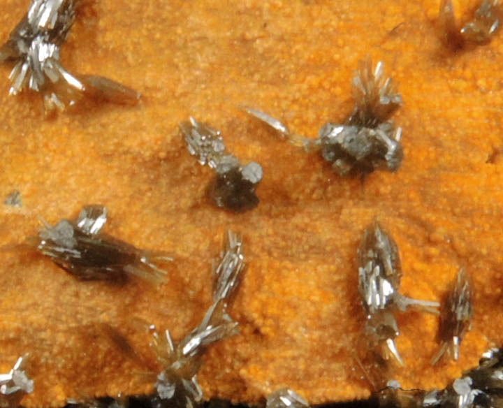 Vanadinite var. Endlichite on Descloizite from Chalk Mountain Mine, 510' Level, Churchill County, Nevada