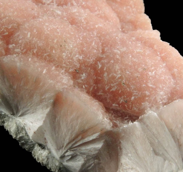 Pectolite (pink) from State Pit, Millington Quarry, Bernards Township, Somerset County, New Jersey