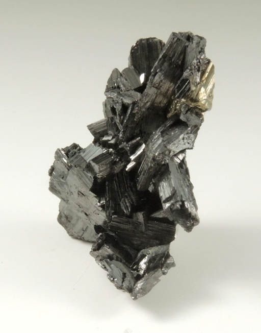 Enargite from Butte Mining District, Summit Valley, Silver Bow County, Montana