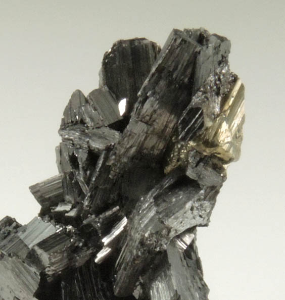 Enargite from Butte Mining District, Summit Valley, Silver Bow County, Montana