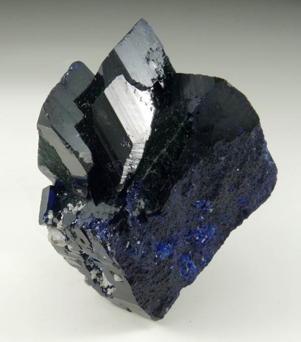 Azurite from Milpillas Mine, Cuitaca, Sonora, Mexico