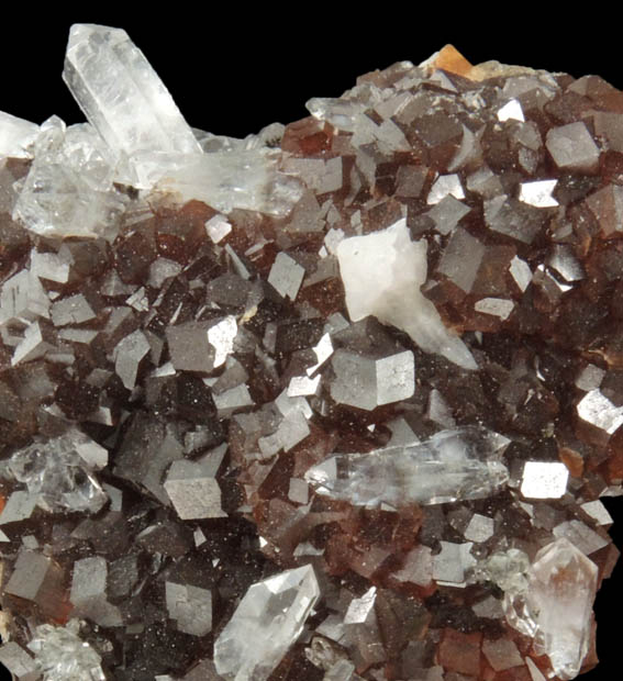 Andradite Garnet with Quartz and Calcite from Mina El Mochito, 2 km southeast of Las Vegas, Santa Brbara, Honduras