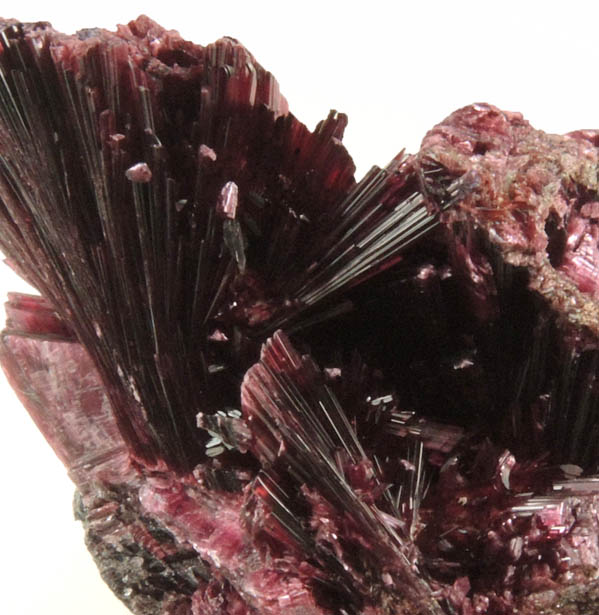 Erythrite from Bou Azzer District, Anti-Atlas Mountains, Tazenakht, Ouarzazate, Morocco (Type Locality for Erythrite)