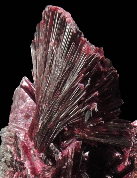 Erythrite from Bou Azzer District, Anti-Atlas Mountains, Tazenakht, Ouarzazate, Morocco (Type Locality for Erythrite)