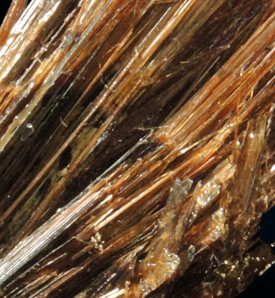 Astrophyllite from Poudrette Quarry, Mont Saint-Hilaire, Qubec, Canada