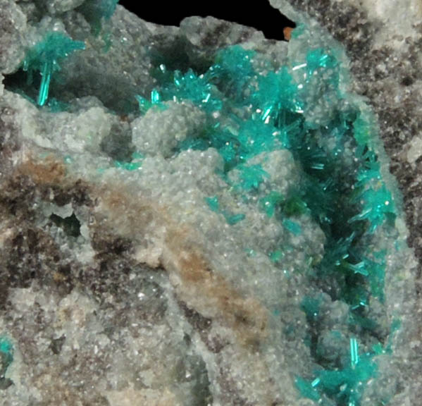 Dioptase on Willemite with Wulfenite from Mammoth-St. Anthony Mine, Tiger, Mammoth District, Pinal County, Arizona