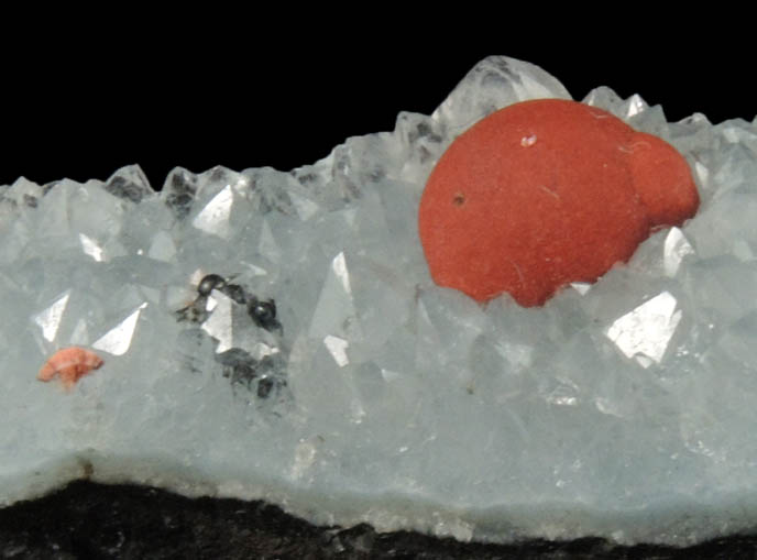 Fluorite on Quartz from Mahodari, Nashik District, Maharashtra, India