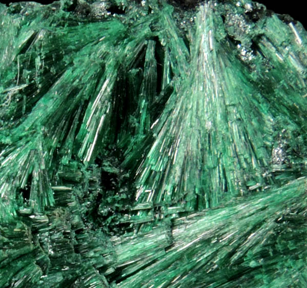 Malachite (fibrous form) from Mindingi, 60 km W of Likasi, Katanga Copperbelt, Lualaba Province, Democratic Republic of the Congo