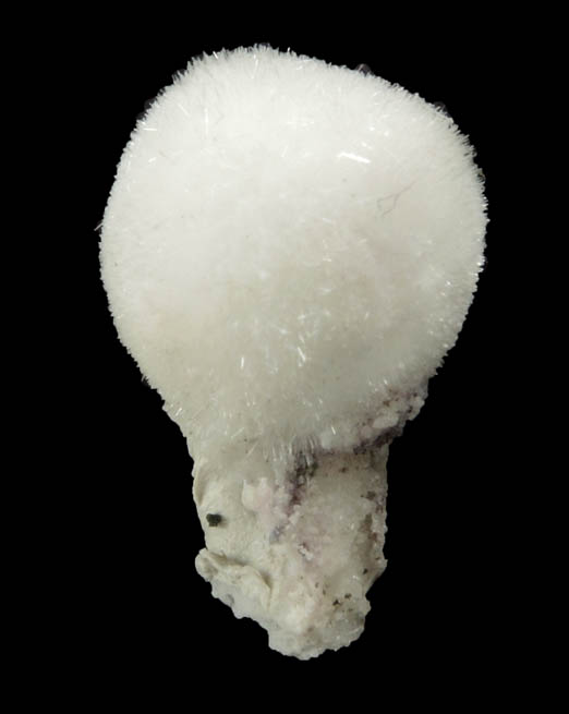 Natrolite from Millington Quarry, Bernards Township, Somerset County, New Jersey