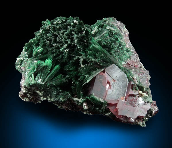 Cuprite and Malachite from Kolwezi Mining District, 240 km WNW of Lubumbashi, Katanga Copperbelt, Lualaba Province, Democratic Republic of the Congo