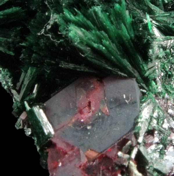 Cuprite and Malachite from Kolwezi Mining District, 240 km WNW of Lubumbashi, Katanga Copperbelt, Lualaba Province, Democratic Republic of the Congo