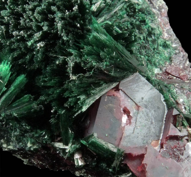 Cuprite and Malachite from Kolwezi Mining District, 240 km WNW of Lubumbashi, Katanga Copperbelt, Lualaba Province, Democratic Republic of the Congo