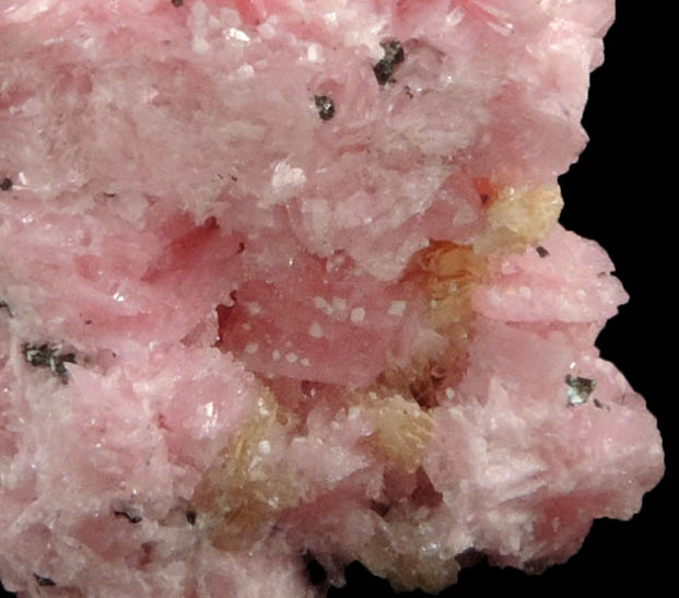 Rhodonite with minor Axinite-(Mn) from Pachapaqui District, Bolognesi Province, Ancash Department, Peru