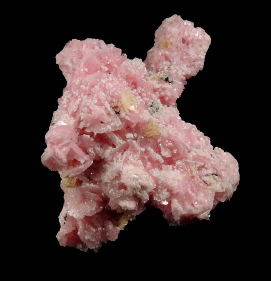 Rhodonite with minor Axinite-(Mn) from Pachapaqui District, Bolognesi Province, Ancash Department, Peru