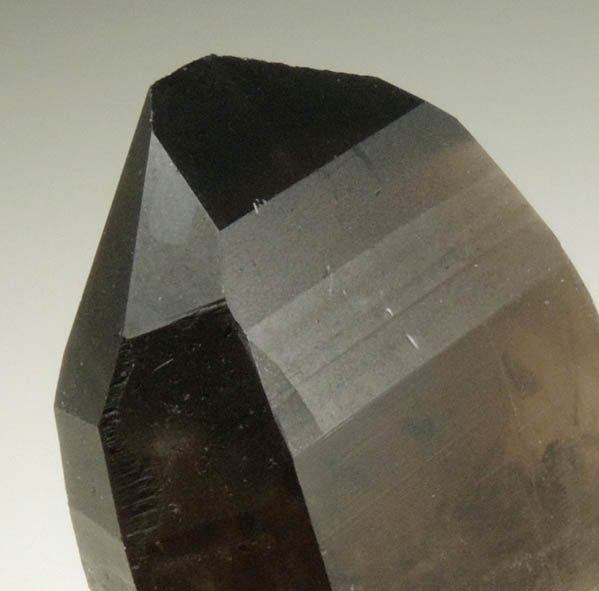 Quartz var. Smoky Quartz (with rare crystal faces) from Lake George District, Park County, Colorado