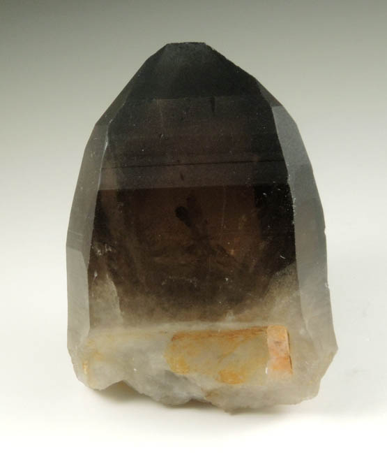 Quartz var. Smoky Quartz (with rare crystal faces) from Lake George District, Park County, Colorado