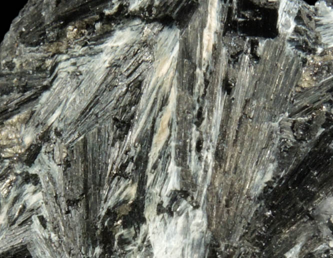 Ludwigite from Brosso Mine, Piemonte, Italy