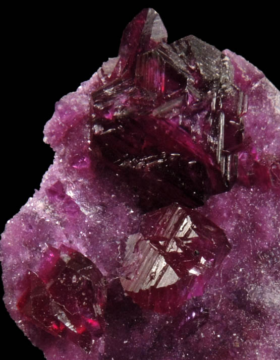 Clinochlore var. Kammererite from Pembe Gle Mine, Kop Daglari, 70 km WNW of Erzurum, East Anatolia, Turkey