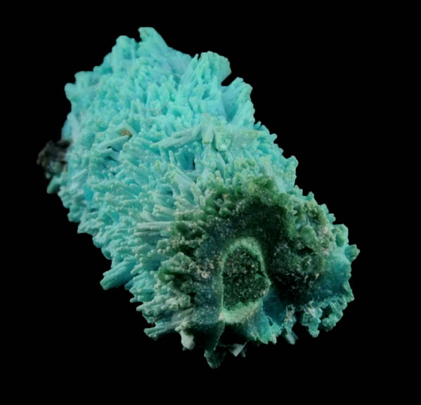 Chrysocolla over Malachite pseudomorph after Azurite from Luputo Mine, Lubumbashi, Katanga Copperbelt, Haut-Katanga Province, Democratic Republic of the Congo