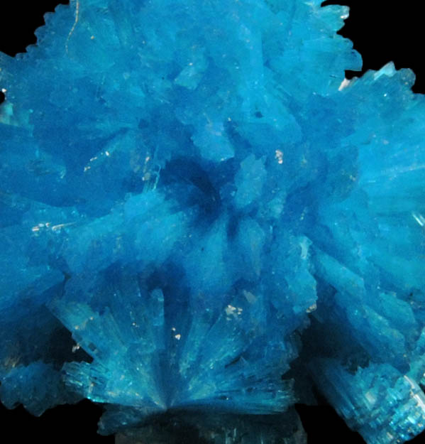 Cavansite from Wagholi Quarry, Maharashtra, India