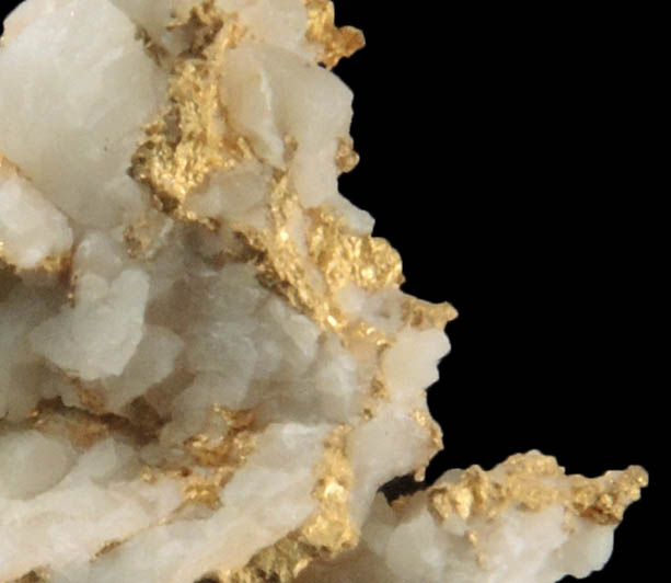 Gold (native gold) in Quartz from Harvard Mine, Jamestown Mining District, Tuolumne County, California