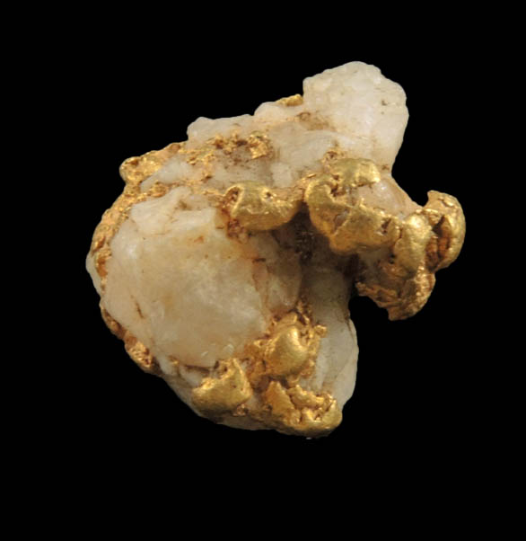 Gold (native gold) in Quartz from Eldorado Creek, Placer County, California