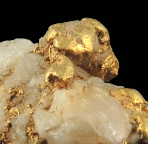 Gold (native gold) in Quartz from Eldorado Creek, Placer County, California