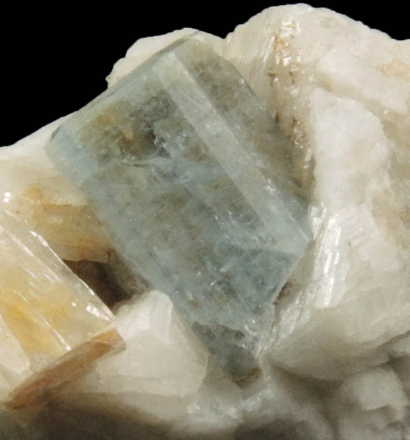 Fluorapatite on Albite with Muscovite from Emmons Quarry, southeastern slope of Uncle Tom Mountain, Greenwood, Oxford County, Maine