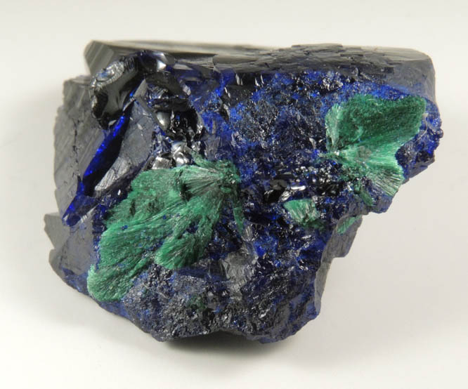 Azurite with partial alteration to Malachite from Milpillas Mine, Cuitaca, Sonora, Mexico