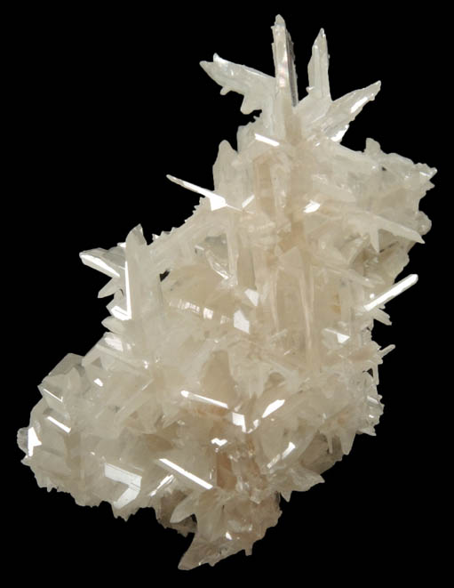 Cerussite (reticulated crystals) from Nakhlak Mine, Anarak District, Esfahan Province, Iran