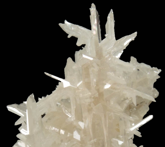 Cerussite (reticulated crystals) from Nakhlak Mine, Anarak District, Esfahan Province, Iran