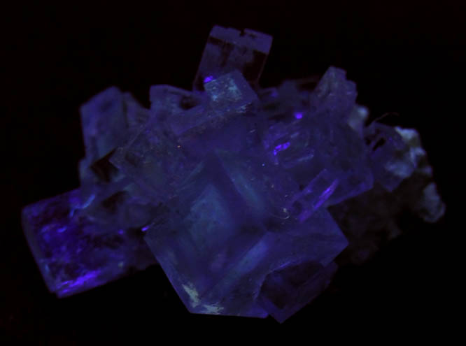 Halite from Soda Lake, 103 km east of San Luis Obispo, Carrizo Plain, San Luis Obispo County, California