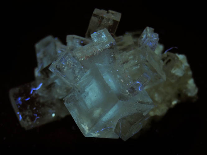 Halite from Soda Lake, 103 km east of San Luis Obispo, Carrizo Plain, San Luis Obispo County, California