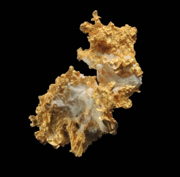 Gold (native gold) in Quartz from Eagle's Nest Mine, Michigan Bluff District, Placer County, California