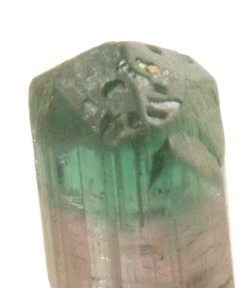 Elbaite Tourmaline (bi-colored) from Anjanabonoina, near Ambohimanambola, Betafo District, Vakinankaratra, Madagascar