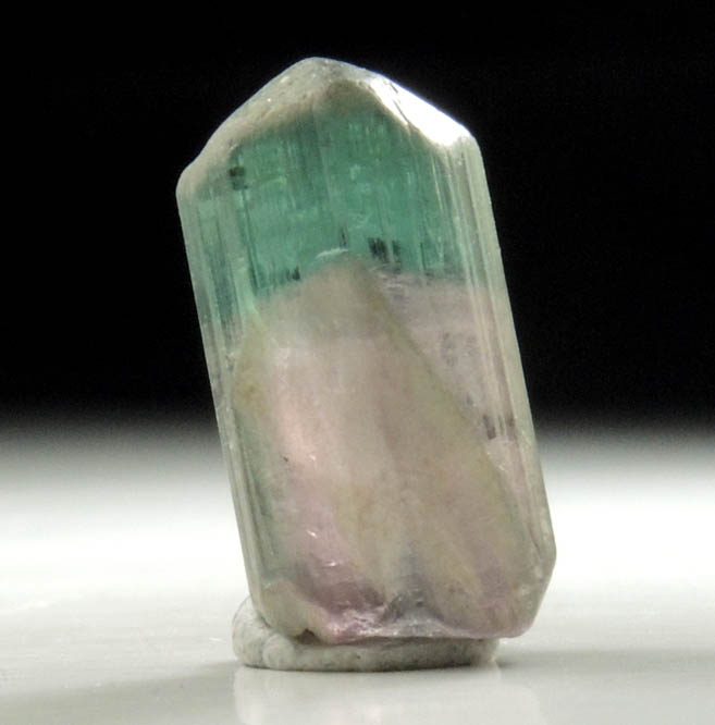 Elbaite Tourmaline (bi-colored) from Anjanabonoina, near Ambohimanambola, Betafo District, Vakinankaratra, Madagascar