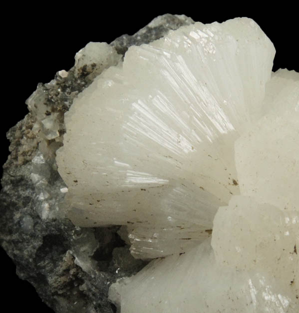 Stilbite on Calcite from Braen's Quarry, Haledon, Passaic County, New Jersey