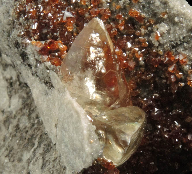 Sphalerite and Calcite from Pugh Quarry (France Stone Co. Custar Quarry), 6 km NNW of Custar, Wood County, Ohio