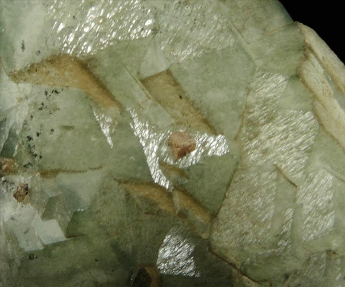 Apophyllite included with Chlorite from Millington Quarry, Bernards Township, Somerset County, New Jersey