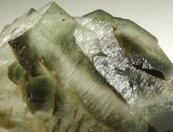 Apophyllite included with Chlorite from Millington Quarry, Bernards Township, Somerset County, New Jersey